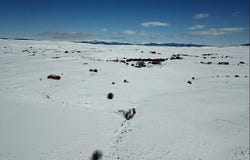 E GERONIMO, LOT 124 Lane, Daniel, WY 83115