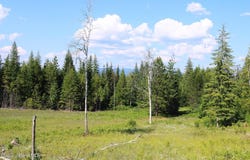 NKA Slippery Slope Trail, Priest River, ID 83856