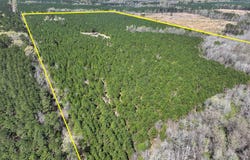 14 United Gas Rd 1, Rodessa, LA 71069
