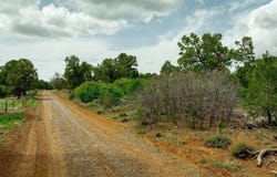 850 Canyon Ridge Road, Montrose, CO 81403