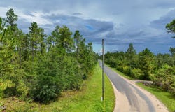Tbd Cowels Road, Fountain, FL 32438