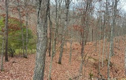 6 BEAVER RUN ROAD, BURLINGTON, WV 26710