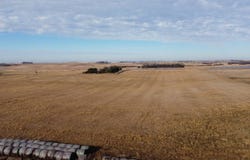 444 Avenue, Grenville, SD 57273