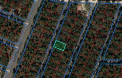 NE 154TH Avenue, WILLISTON, FL 32696