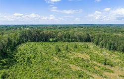 Mule Deer RD, Gilmer, TX 75644