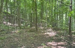 Macs Mountain Retreat Lane, Franklin, NC 28734