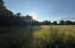 25 Cedar Cove, Winfield, MO 63389