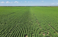 TBD Co Hwy 15, Presho, SD 57568