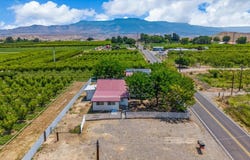 3412 C 1/2 Road, Palisade, CO 81526