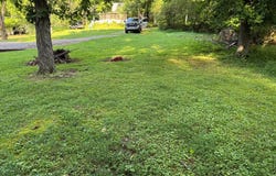 Holmes Creek Rd lot: 1, Smithville, TN 37166