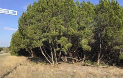 29084 Cedar Hill Dr & Timberwood Drive, Whitney, TX 76692