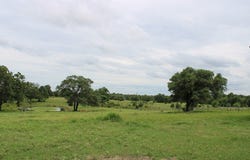 4916 County Road 127, Ledbetter, TX 78946