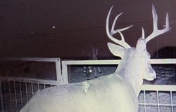 6269 Other, Rocksprings, TX 78880