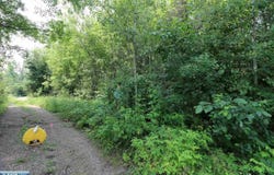 xxx Lane 51, Aurora, MN 55705