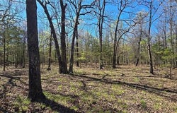 0000 Wilderness Springs - Tract  CCCCC  TR, Lead Hill, AR 72544