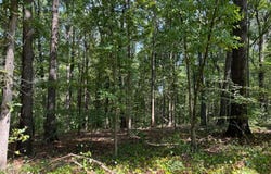 348 Pat Rich, Canton, GA 30115