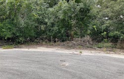 Tbd Lot 58 MALAUKA RADIAL TRAIL, OCKLAWAHA, FL 32179