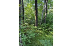 0 N Mack Lake Road, Trego, WI 54888