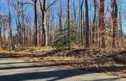 COLUMBIAN WAY, BOWIE, MD 20715
