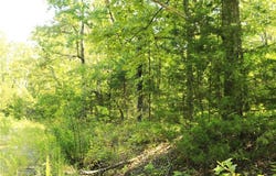 602 Catbird  CIR, Horseshoe Bend, AR 72512
