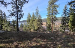 NKA Garfeild, Harrison, ID 83833