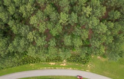 Lot 148 Stables Loop, Blairsville, GA 30512