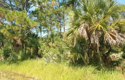 1042 Savery Road, Palm Bay, FL 32908