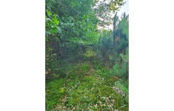 0 275th Avenue, Holcombe, WI 54745