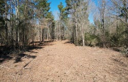 Tbd-b County Road 3198, Mount Enterprise, TX 75681