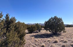 Lot 173 Campfire Rd, Magdalena, NM 87825