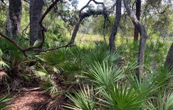 126 PECAN Avenue, Interlachen, FL 32148