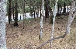 Oak Leaf Circle lot: 93, Garfield, AR 72732