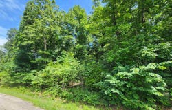 L37B12 N lakeshore Circle, Cherokee Village, AR 72529