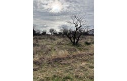 Tbd Lot 355 Feather Bay Drive, Brownwood, TX 76801