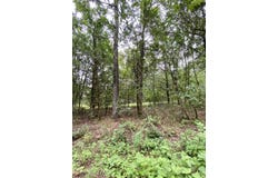 TBD Wildwood Trail, Ozark, AR 72949