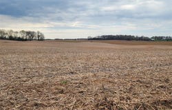 0 Neosheo Prices Mill Road, Franklin, KY 42134