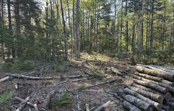 61 Gerards Trail Trail, Blue Hill, ME 04614