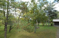 18323 Elmcrest Avenue N, Forest Lake, MN 55025