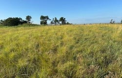 E County Road 37, Mooreland, OK 73852