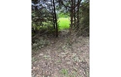 0 An County Road 2610, TENNESSEE COLONY, TX 75861