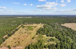 PID 18533 CR 4035, Lovelady, TX 75851