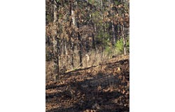 1221 Lena Ln, Oxford, AR 72565