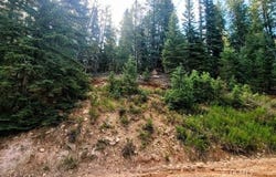 770 N Skyline View Dr, Duck Creek Village, UT 84762