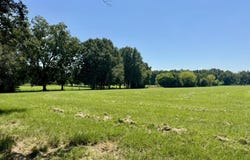 000001 Green Acres Drive, Canton, MS 39046