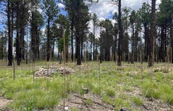 22 Calle Retiro Road, Rociada, NM 87742