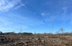- Pettey Road, Forest, MS 39074