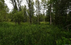 TBD-9.5 ac Saint Nicholas, Rock, MI 49880