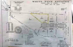 V/L-2 WHITE PINE DRIVE, HART, MI 49420