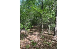 S Oak Road, Chattahoochee, FL 32324