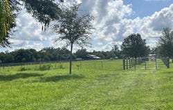 15353 S 475, Summerfield, FL 34491